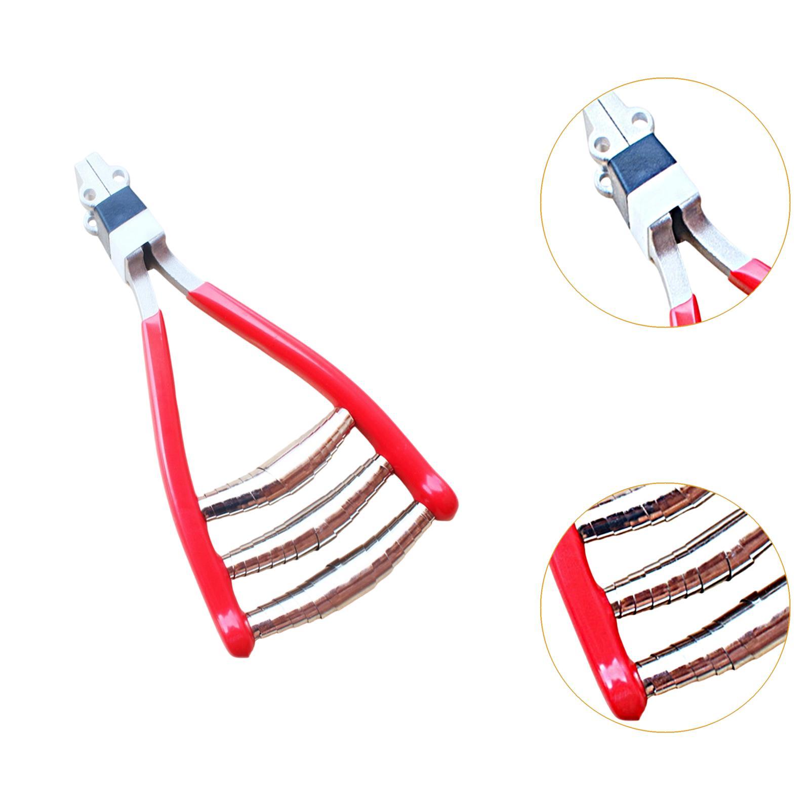 스타팅 클램프 스포츠 3 스프링 스타터 클램프 견고한  - Sports Equipment That Starts With A 리뷰 및 가격