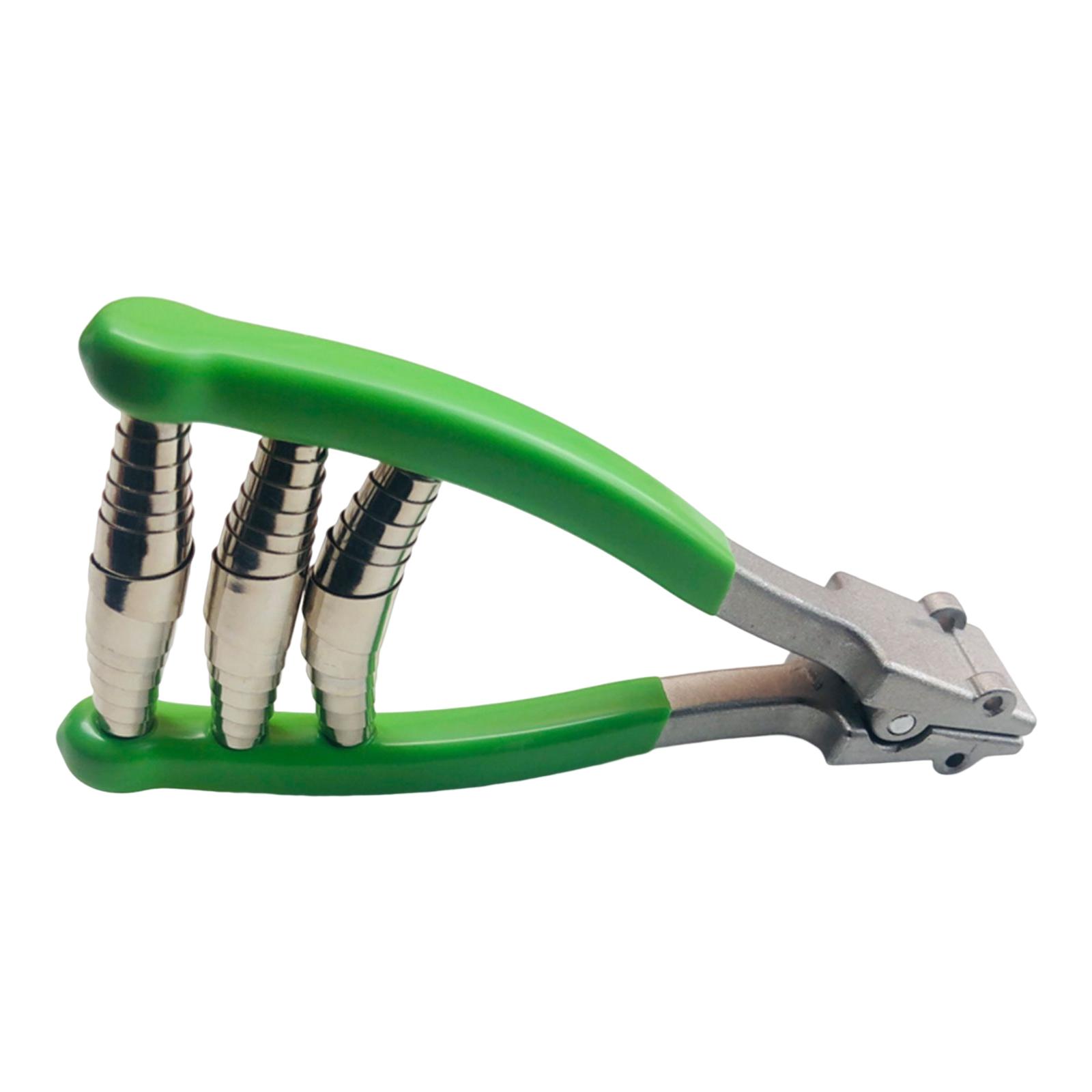 스포츠 스타팅 클램프 배드민턴 스타팅 스트링 클램프 배 - Sports Equipment That Starts With A 리뷰 및 가격