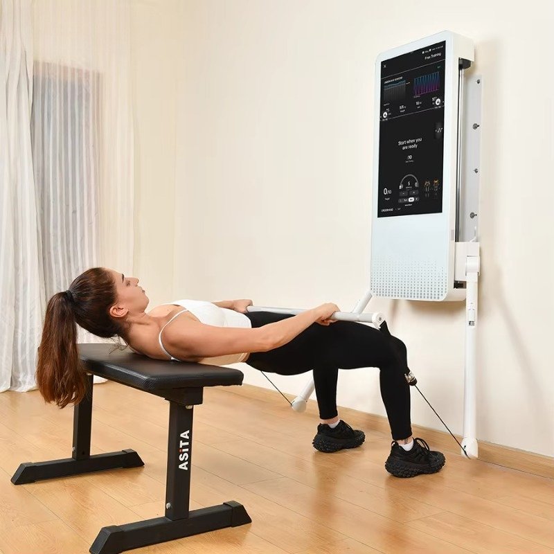 다기능 홈 피트니스 장비: 토날 벽걸이형 스마트 트래킹 - Sports Equipment Home 리뷰 및 가격